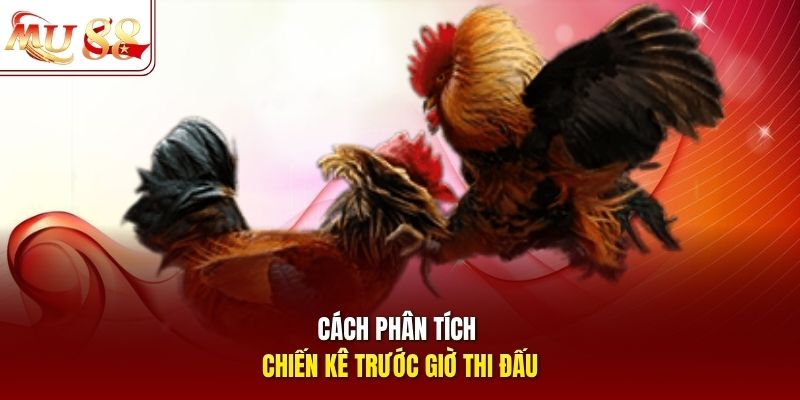 Cách phân tích chiến kê trước giờ thi đấu