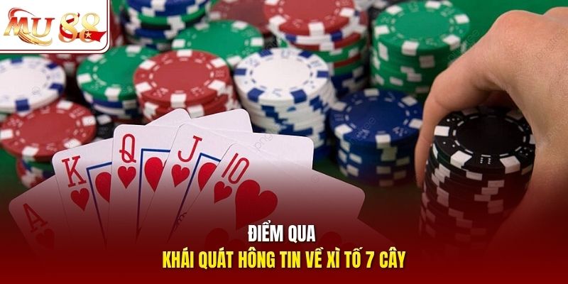 Điểm qua khái quát thông tin về Xì Tố 7 cây