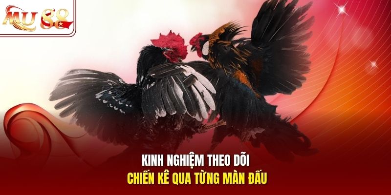 Kinh nghiệm theo dõi chiến kê qua từng màn đấu