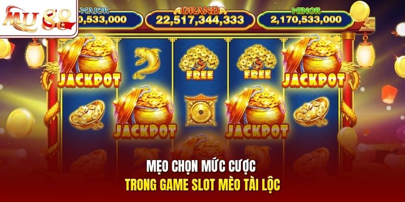 Mẹo chọn mức cược trong game slot Mèo Tài Lộc