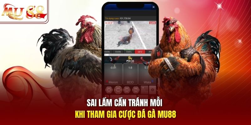 Sai lầm cần tránh mỗi khi tham gia cược đá gà mu88