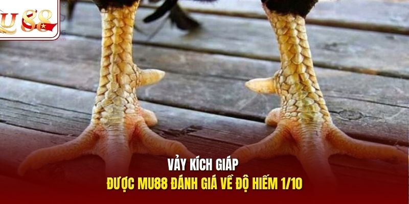 Vảy kích giáp được Mu88 đánh giá về độ hiếm 1/10