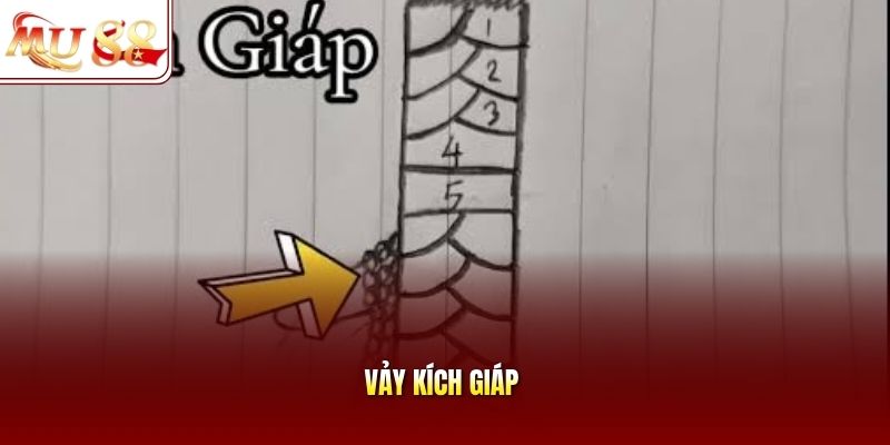 Vảy kích giáp